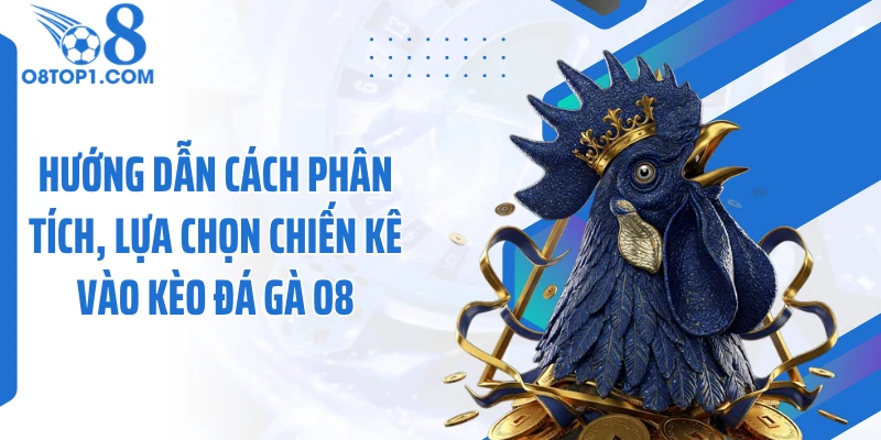 Hướng dẫn cách phân tích, lựa chọn chiến kê vào kèo đá gà O8