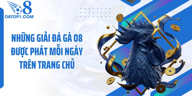 Những giải đá gà O8 được phát mỗi ngày trên trang chủ